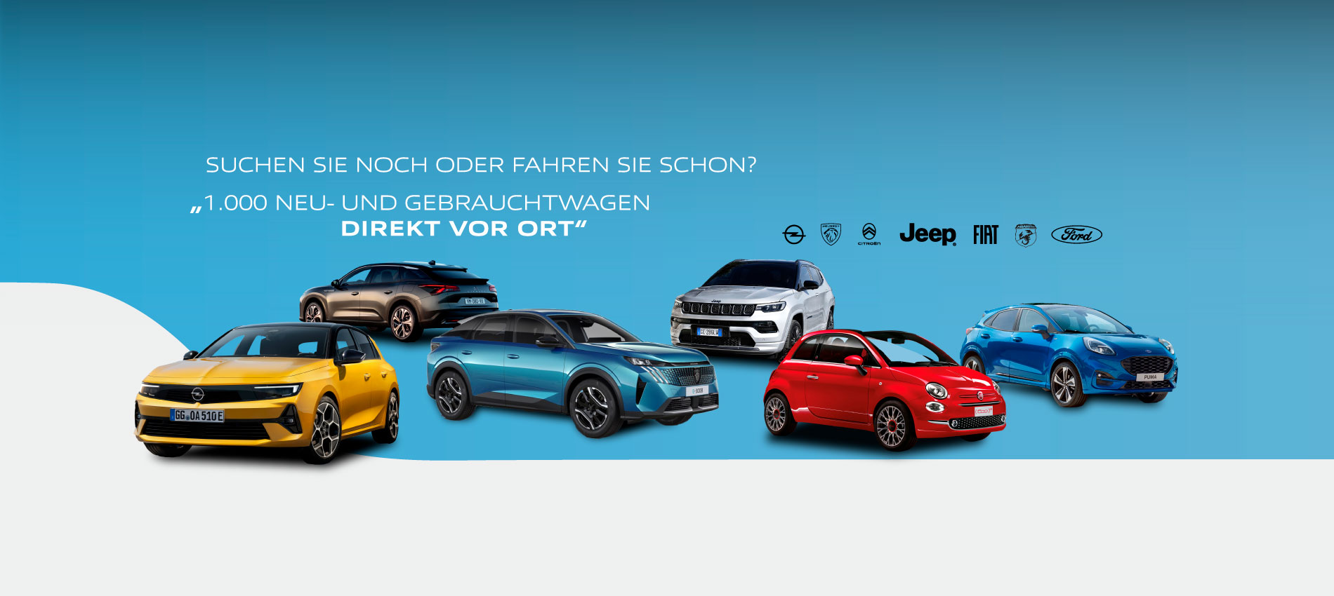 Zu sehen: Mehrere Fahrzeugmodelle auf einem blauen