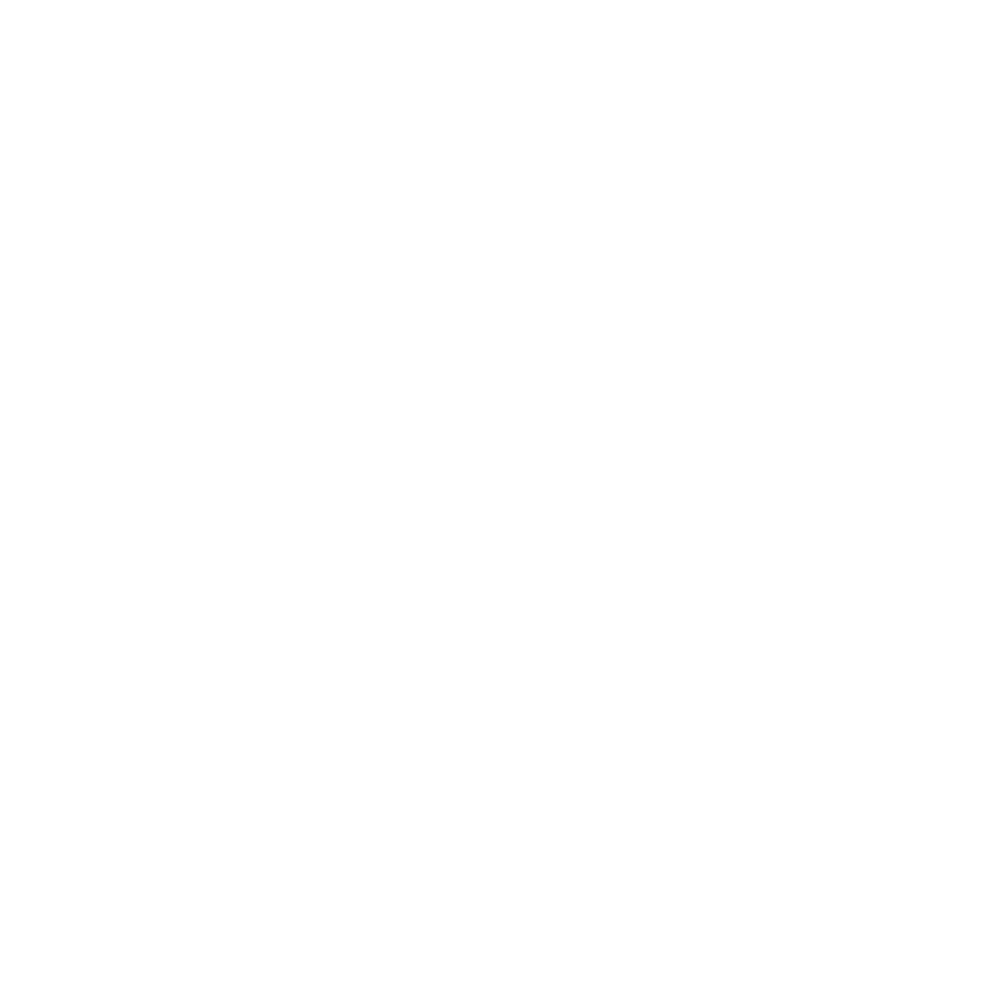 Partner Logo: Leapmotor